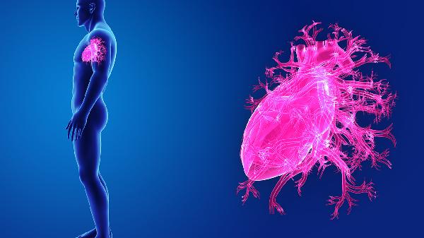 心臟加快跳動怎么回事