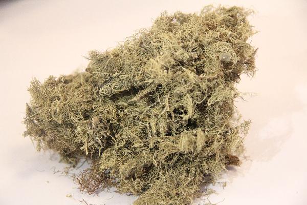 補肺養肺中藥配方專(zhuān)利方