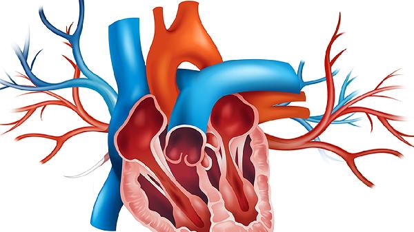心臟神經(jīng)官能癥心顫心慌吃什么藥