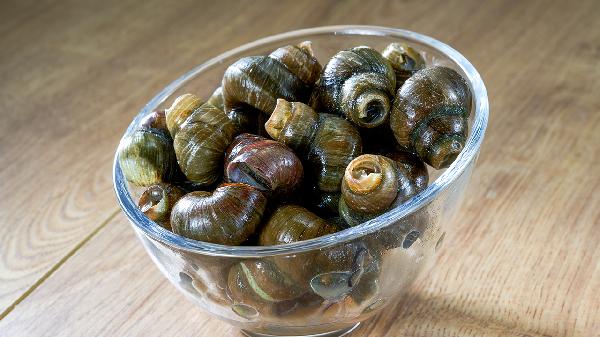 田螺的正確清洗方法