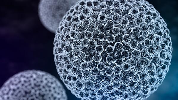 癌癥的人吃海參好嗎