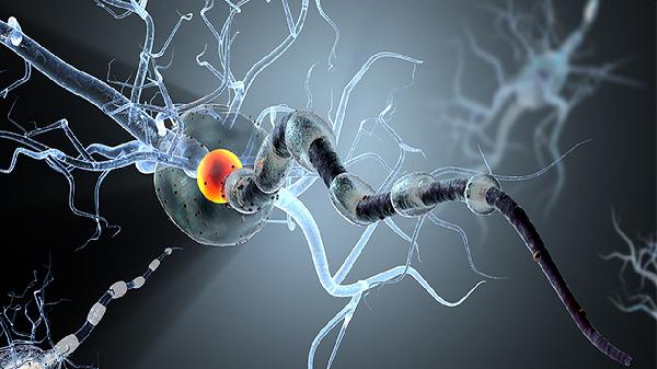 腎上腺腫瘤是什么病嚴重嗎能治好嗎能活多久