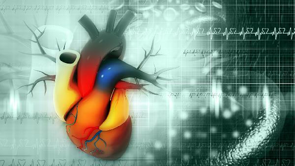 背部有心臟一樣的跳動(dòng)