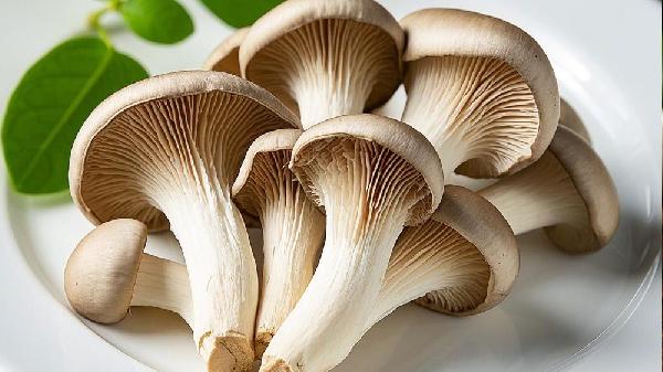 減脂期間能吃蘑菇嗎