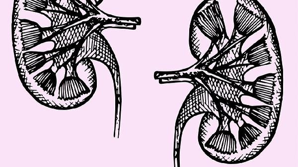 血栓掉入肺嚴(yán)重嗎