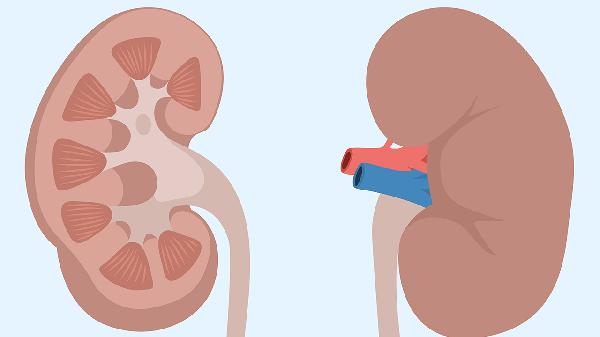 腎小球腎炎是什么性炎癥