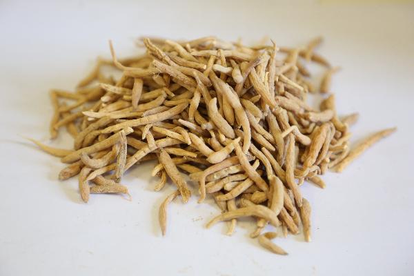 膽汁反流性胃炎中藥方劑