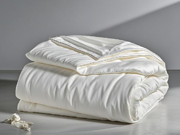 被子里面有蟲怎么處理