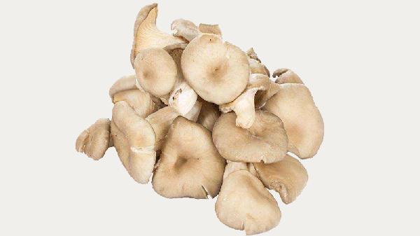 怎樣保存鮮蘑菇最好的方法