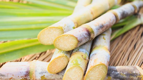 什么水果容易保存不太容易腐爛