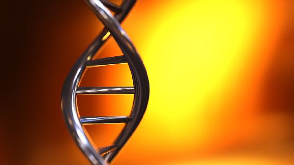 同源染色體為啥叫同源