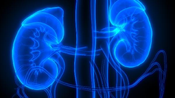 快走傷腎還是養胃