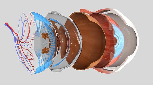 做完上眼睑下垂手术后悔了