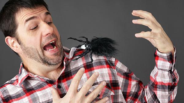 恐懼型回避型人格如何解決生理需求