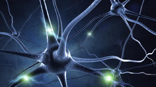 吊瓜子會加速癌細胞擴散嗎