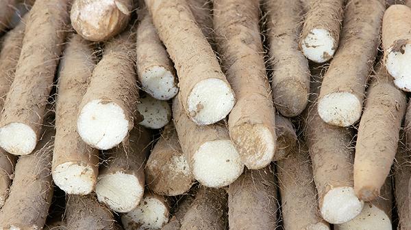 山藥切開了能放多久