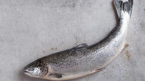 如何刮带鱼的鱼鳞最快