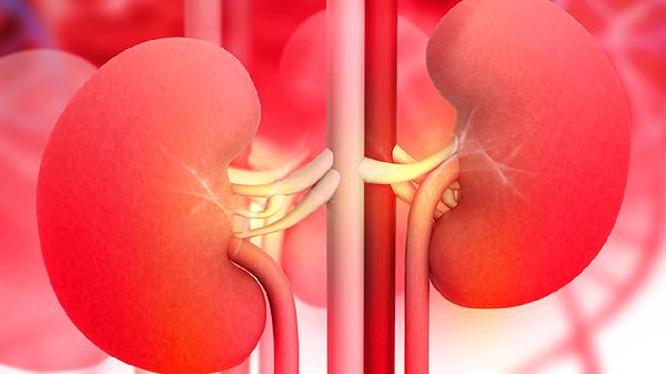 服用金匱腎氣丸多久見效