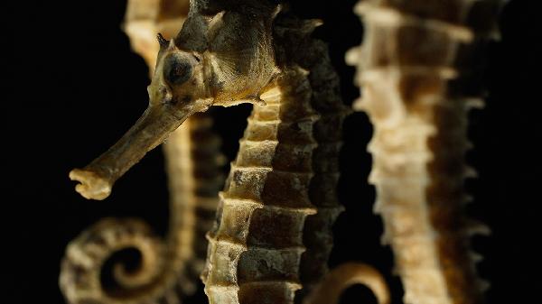 難入睡什么原因要怎樣調理