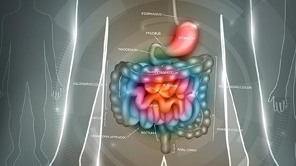 小兒腸黏連怎么引起的呢