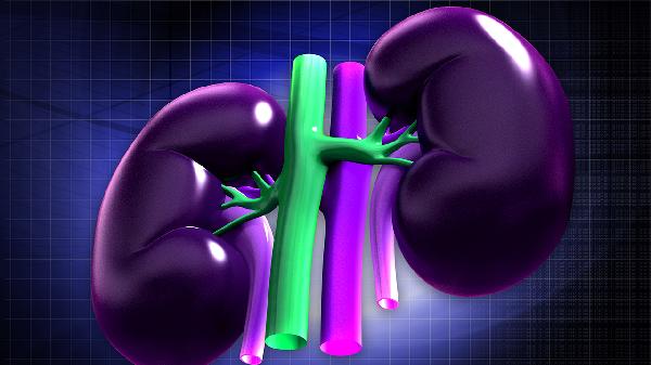 金匱腎氣丸吃多久才能同房