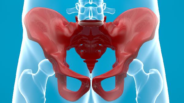 坐骨棘解剖位置是哪里