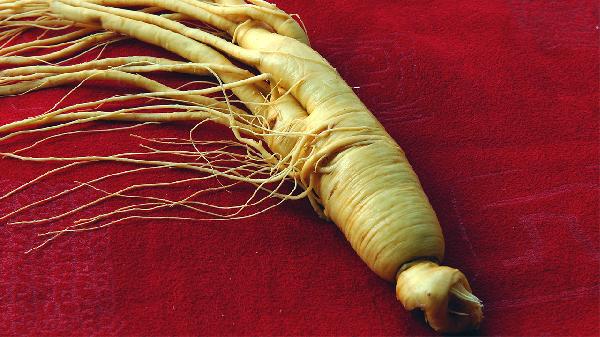 人參牡蠣膏對男人有什么好處