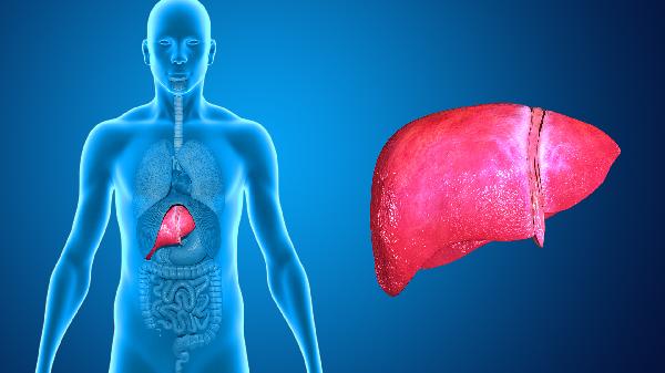 吃藥會不會影響肝功能檢查