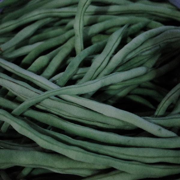 豆角冷藏還是常溫保存時(shí)間長(cháng)