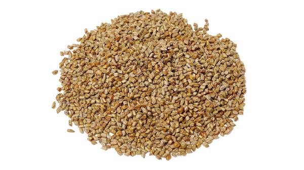 多年的決明子能吃嗎