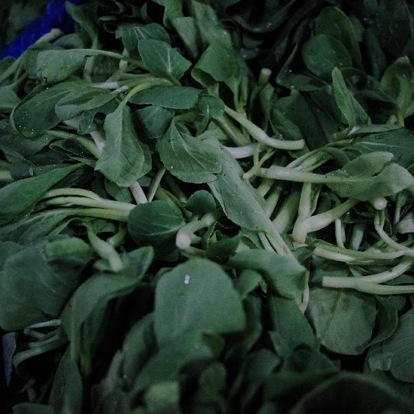 吃空心菜會(huì)得什么病