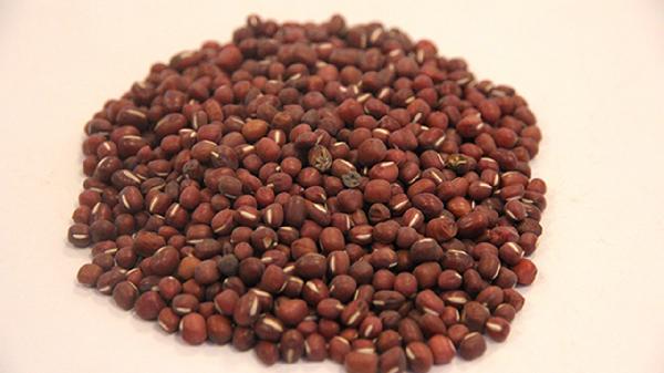 冬瓜可以和赤小豆一起煲嗎