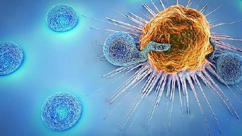 鼻病毒成人会感染吗