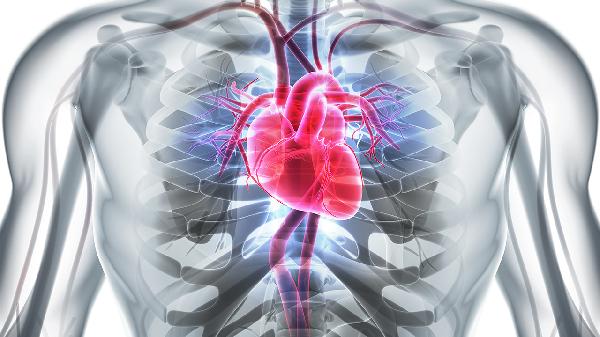 小兒心臟室間隔缺損掛什么科