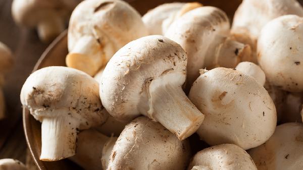 香菇的營養(yǎng)成分有哪些