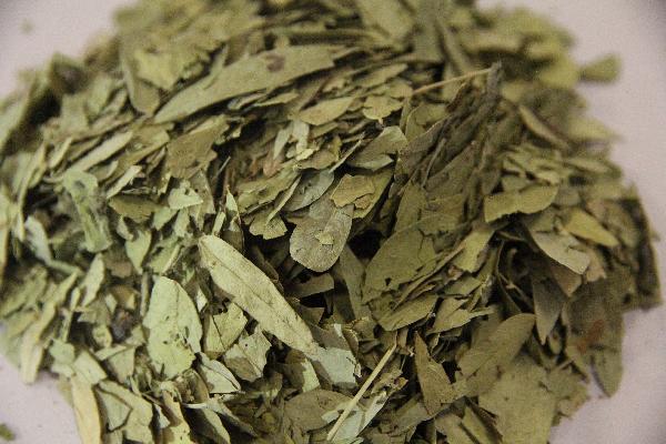 提神醒腦最有效的東西中藥有哪些