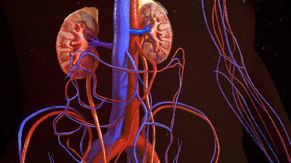 腎小管間質(zhì)腎炎能治嗎