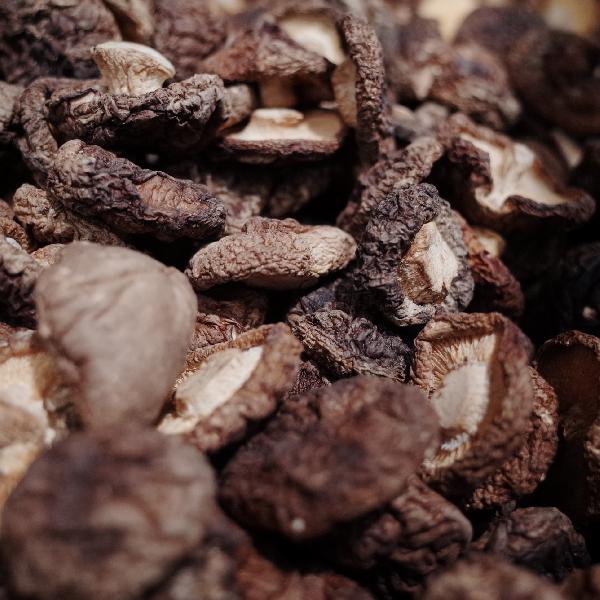 怎样保存鲜香菇最好