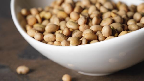 哪種食物飽腹感最強