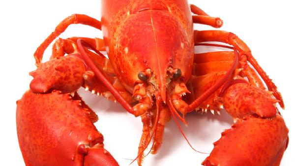 海鮮干貨需要放冰箱冷藏嗎