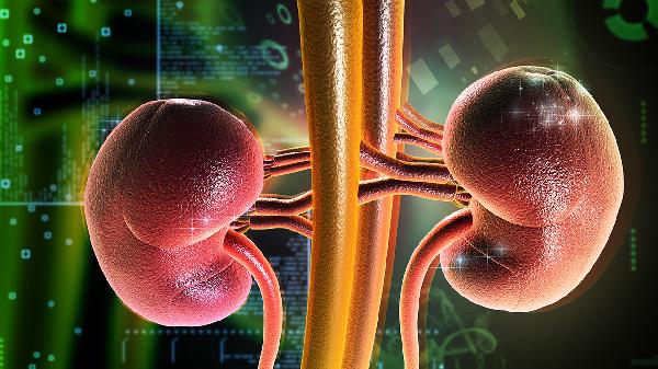 早期腎功能不全怎么檢查