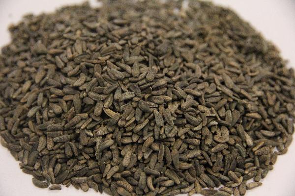 中藥可以調理變瘦嗎