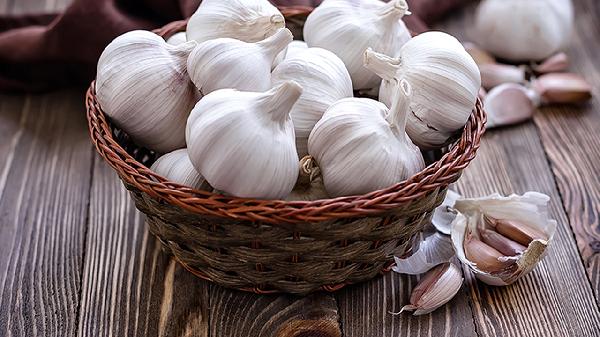 水培大蒜需要剝皮嗎