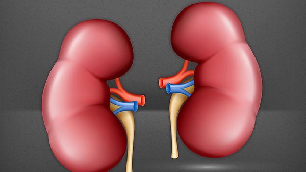 腎病尿蛋白三個加號，潛血三個加號怎么辦