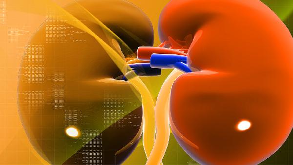 補腎能提高性生活嗎