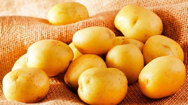 土豆芋頭紅薯能代替主食嗎