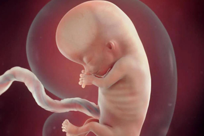 胎兒心臟復(fù)雜畸形有那么嚴(yán)重嗎