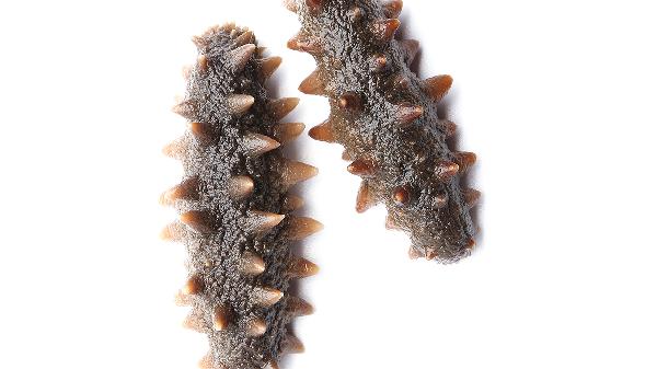 海參一般一斤幾頭為最佳