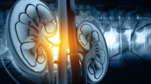 腎病患者能不能吃洋蔥和大蒜頭