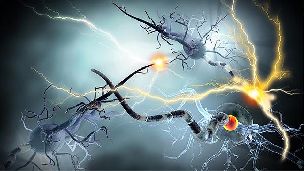 鼻病毒是普通感冒嗎